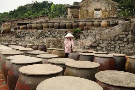 Ra Cát Hải xem dân làm mắm