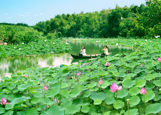 Khu du lịch sinh thái Đồng Tháp Mười