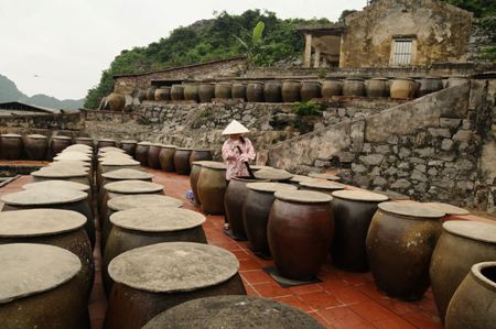 Ra Cát Hải xem dân làm mắm