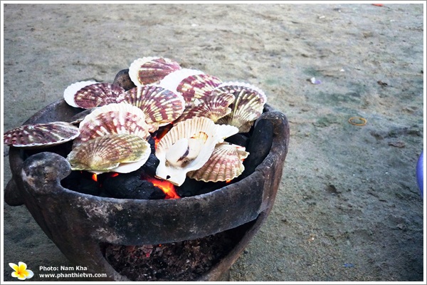 Sò lông nướng - Món ngon ở Phan Thiết.