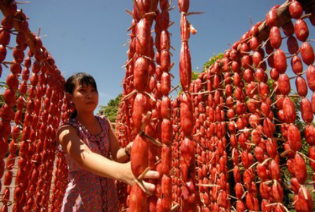 Về An Giang thưởng thức món tung lò mò