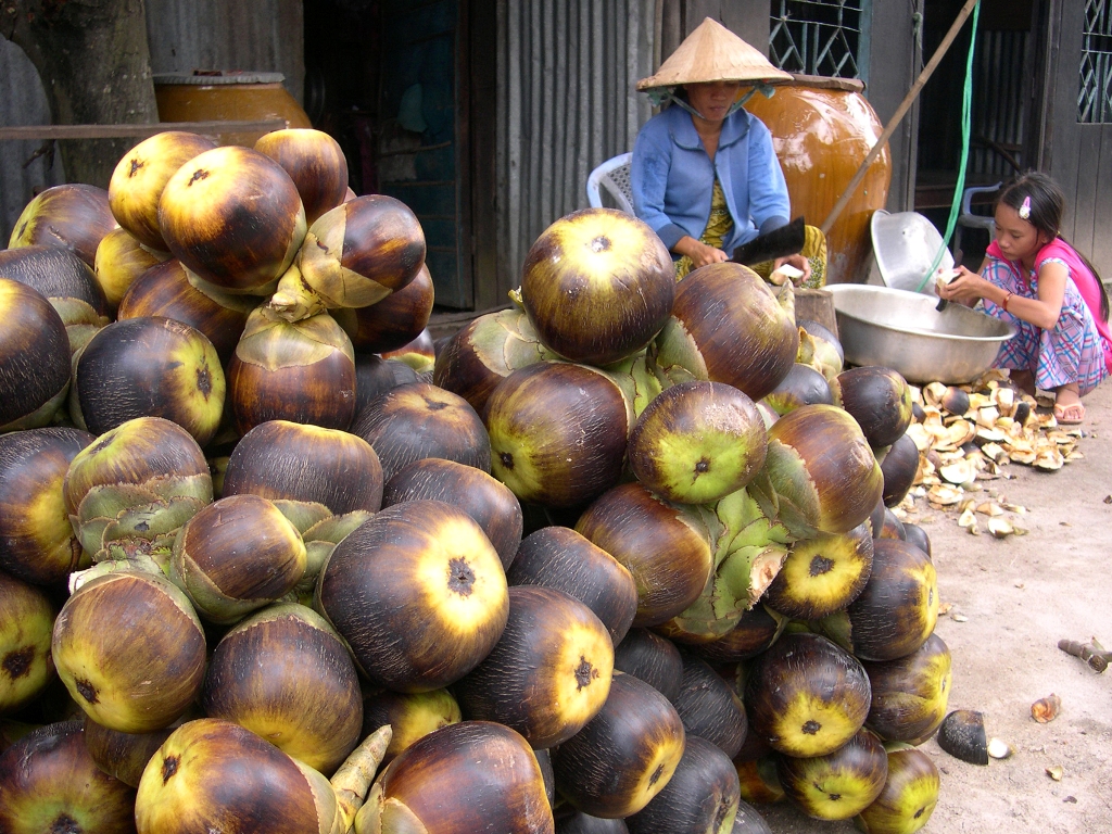 Món ngon ở An Giang: Bánh thốt nốt