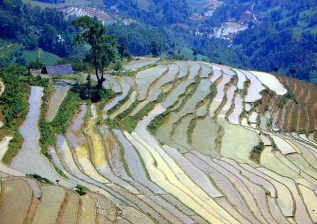 Ruộng bậc thang tại Si Ma Cai