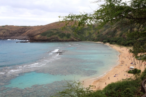 oahu tam minh tren nhung dong xanh