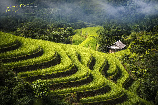 Đừng giữa những thửa ruộng bậc thang rồi đưa tầm mắt ra xa, bạn sẽ cảm nhận đuợc sự yên bình mà bức tranh thiên nhiên tuyệt đẹp ở đây mang lại.