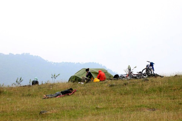 cắm trại, picnic