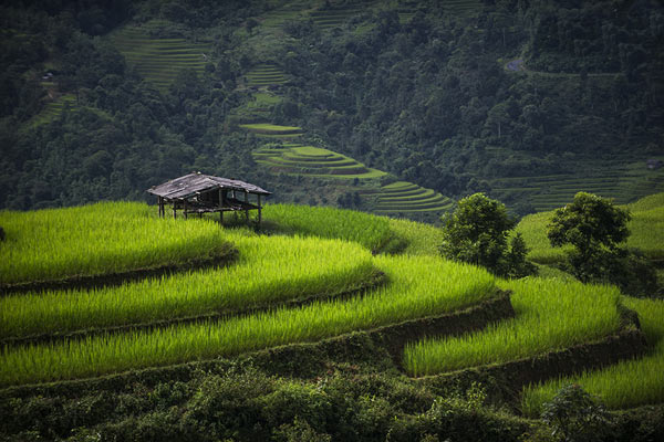 Từ mục đích canh tác nông nghiệp, người nông dân ở đây đã tạo nên những bức tranh thiên nhiên tuyệt đẹp sẵn sàng làm mê mẩn bất kỳ du khách nào lạc bước đến đây.