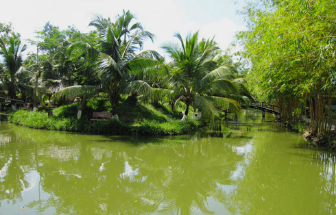 Những dòng kênh xanh mướt uốn lượn mang đến cảm giác thanh bình cho khu du lịch Bình Mỹ. Ảnh: dulichbinhmy.