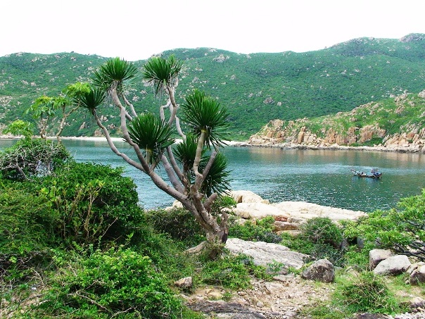 bien-ninh-chu-1.jpg