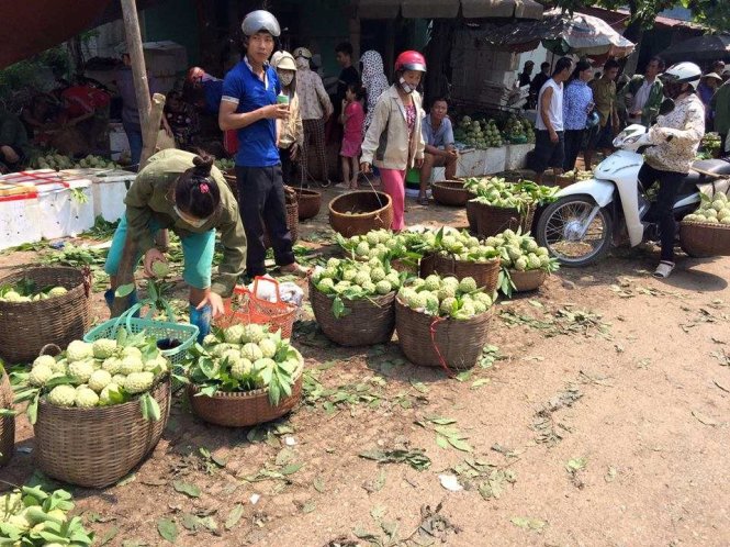 Một góc chợ na Đồng Bành nổi tiếng