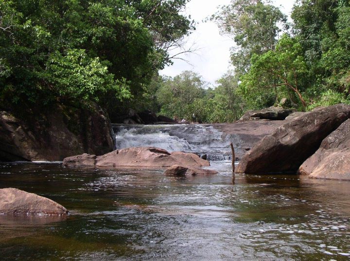 Suối Đá Bàn.