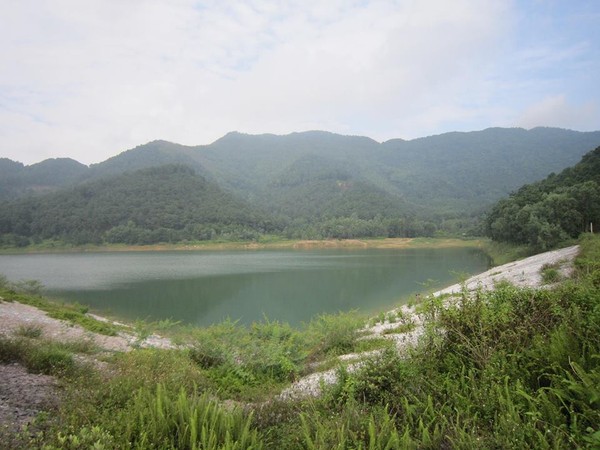 cắm trại, picnic