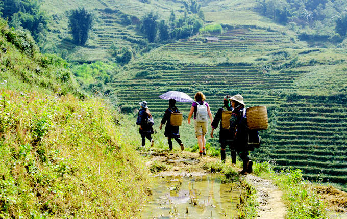 Trekking các bản làng xung quanh trung tâm sapa.