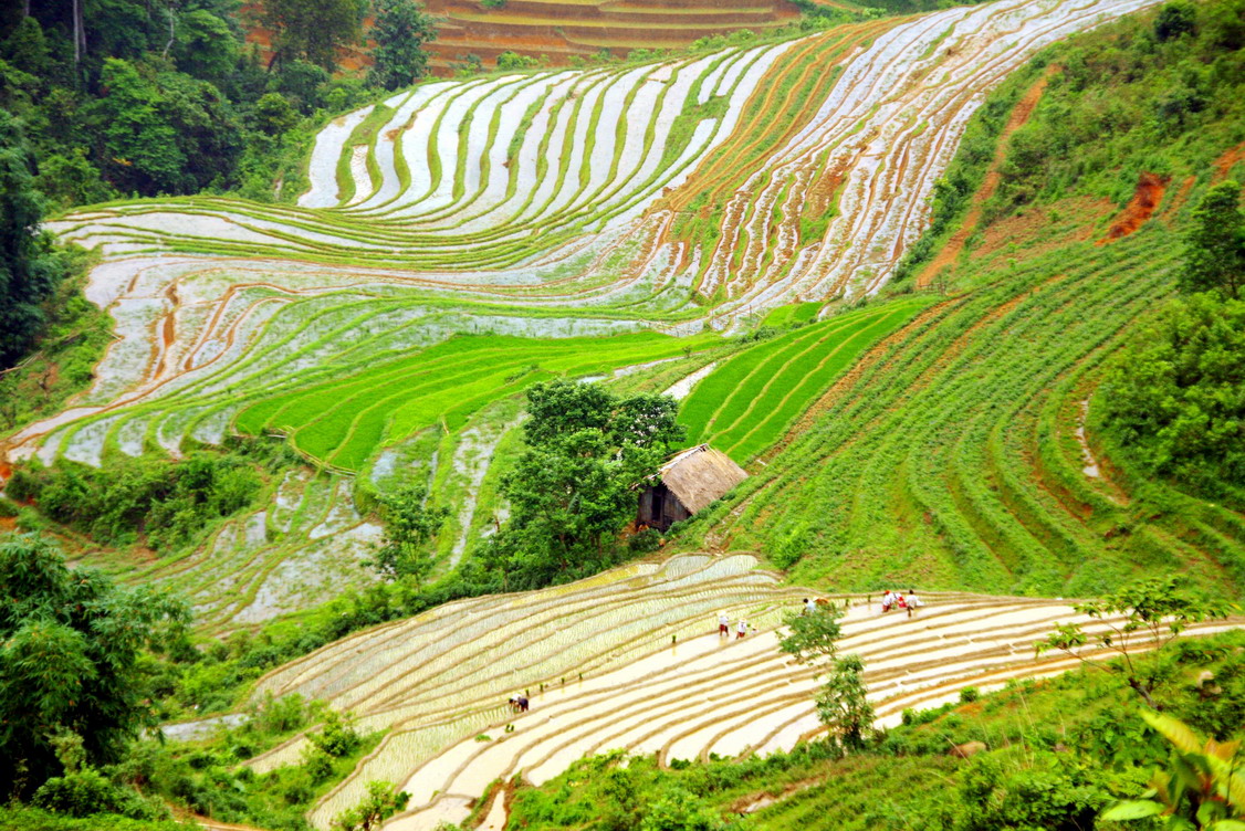 Bản Tả Phìn