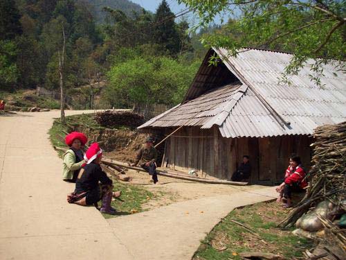 Bản Hồ - Sapa