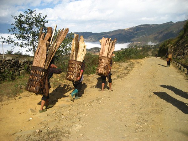 Việc ngày thường.