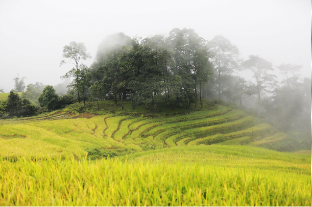 Mây luồn ở Y Tý