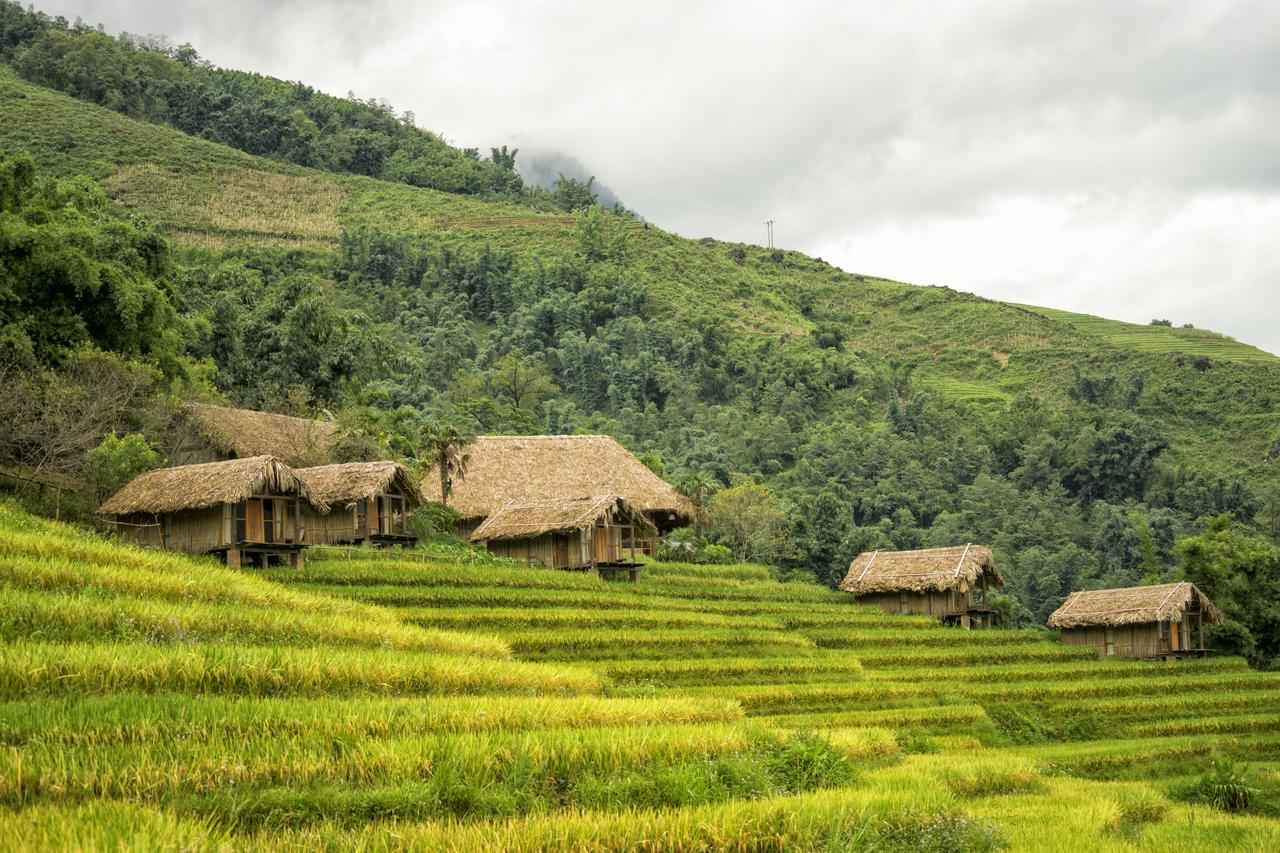 Eco Palms House - Mountain Retreat.