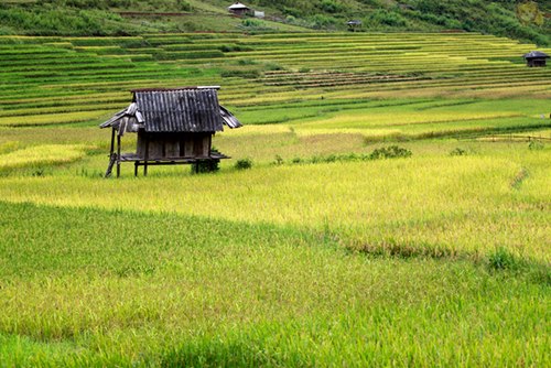 Không gian rộng lớn 