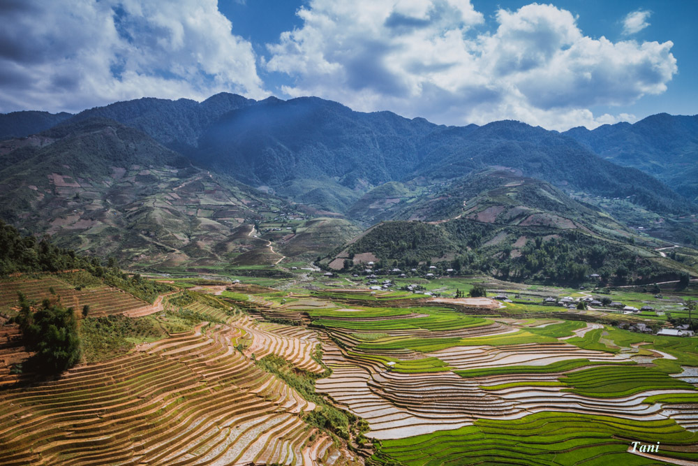 Khung cảnh thơ mộng của Mù Căng Chải mùa nước đổ 