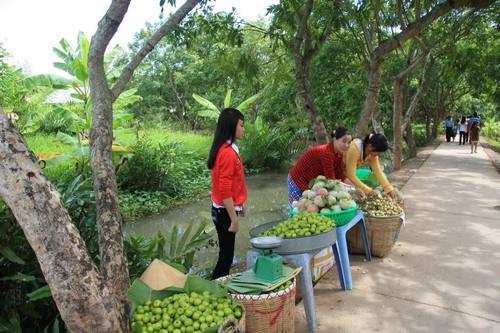 Trải nghiệm hấp dẫn ở Sóc Trăng: Khám phá miệt vườn miền tây.