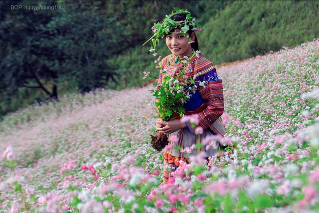 Lễ hội gầu tào