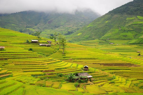 Là một trong những cung nổi tiếng với các thửa ruộng bậc thang vàng óng