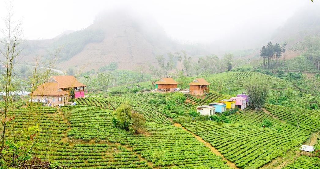 Moc Chau Arena Village.