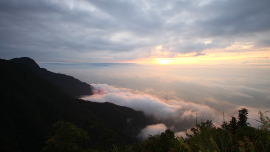 tam-dao-khac-la-qua-chuyen-du-ngoan-dinh-rung-rinh1