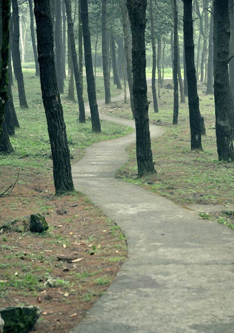 cắm trại, picnic