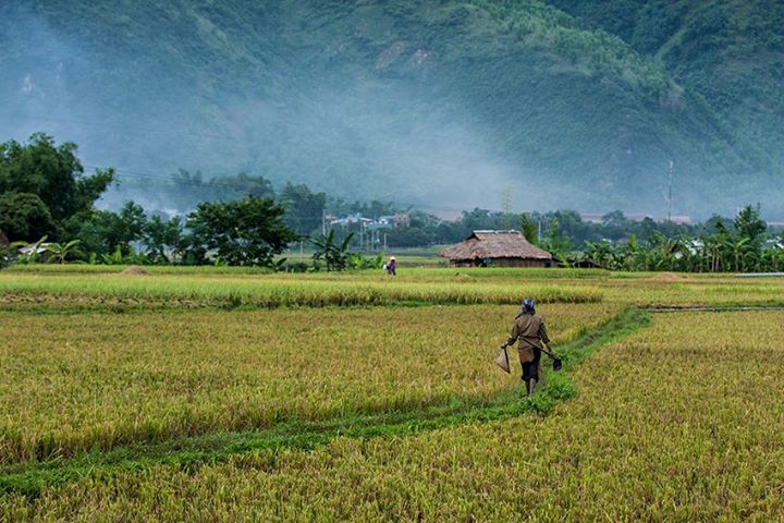  - Đi du lịch Việt Nam phần 1