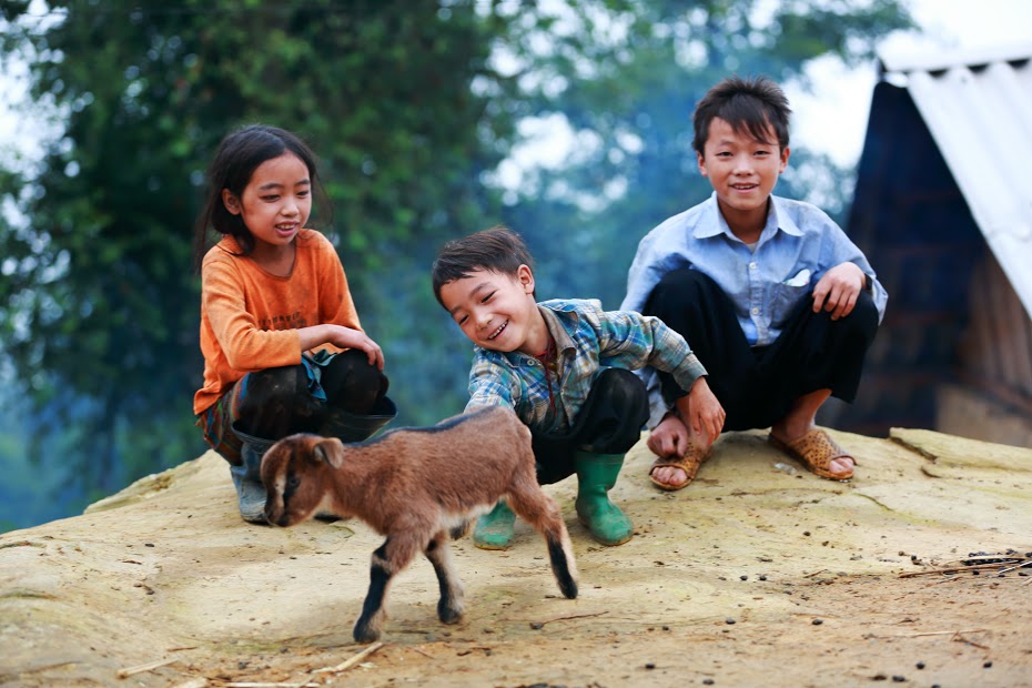 Bầy em thơ vui đùa trong khói sớm