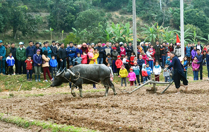 Lễ hội xuống đồng ngày xuân của dân tộc Tày, Dao, mùng 8 tết hàng năm.