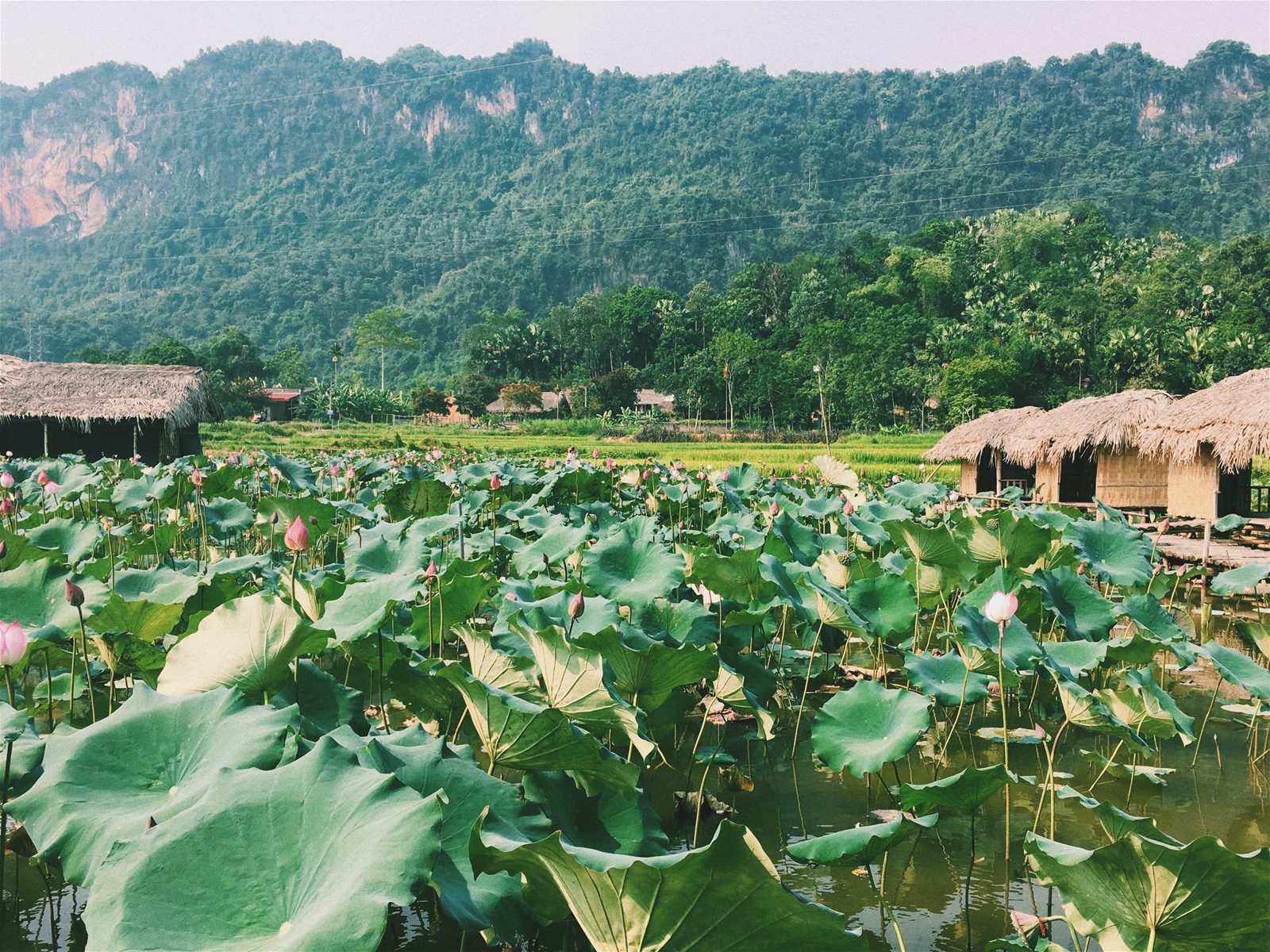 kinh nghiệm du lịch Hà Giang 