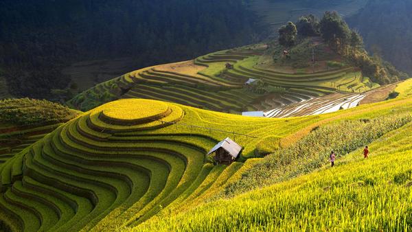 Những thửa ruộng bậc thang trên Mù Cang Chải