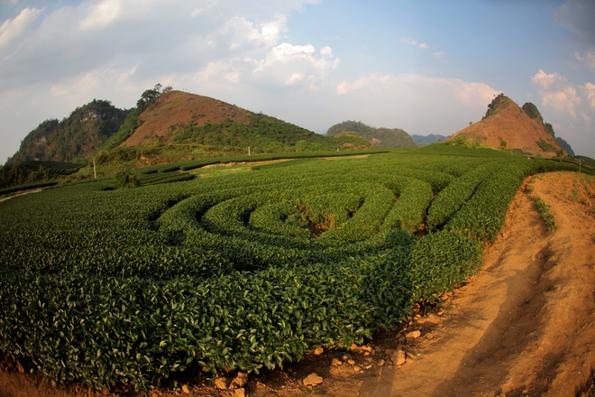 Vẻ đẹp mùa đông Mộc Châu