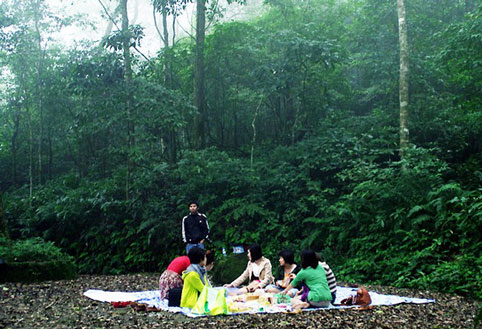 cắm trại, picnic