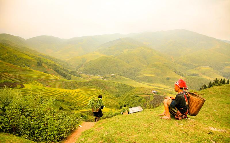 Cảnh thiên nhiên tuyệt mĩ của Sa Pa