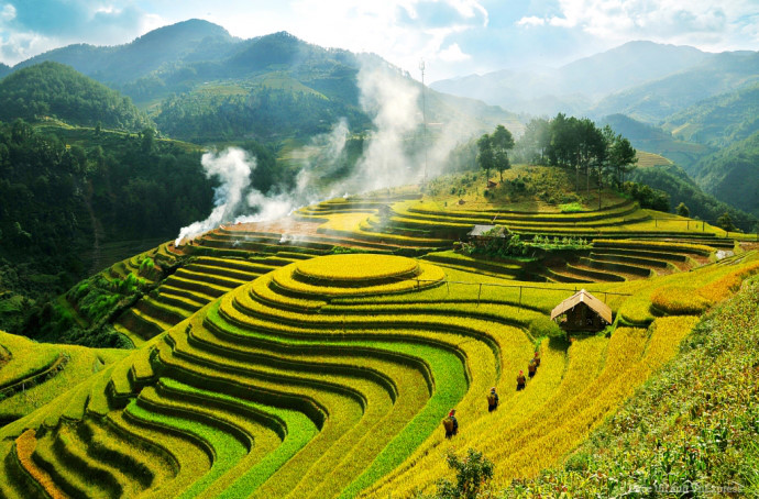 Ruộng bậc thang "mâm xôi"