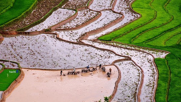 Những địa điểm phượt ở miền Bắc thu hút giới trẻ