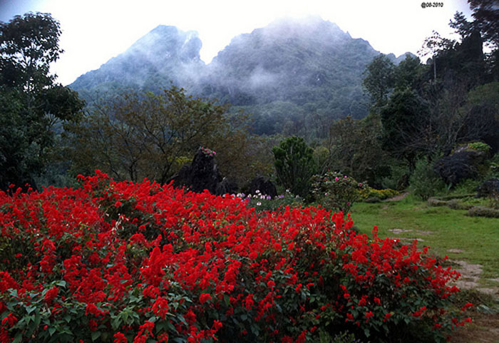 Thung lũng hoa hồng.