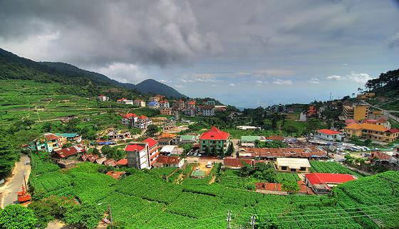 Khu du lịch Tam Đảo - Vĩnh Phúc 