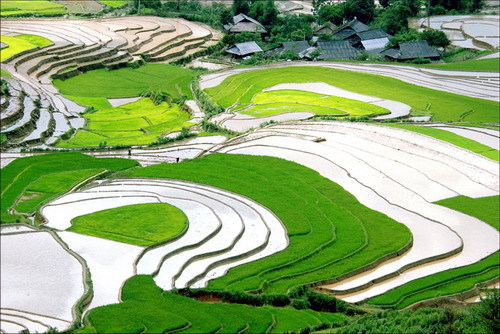 Ruộng bậc thang A Lù