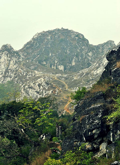 cắm trại, picnic