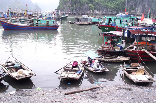 Làng chài trong thành phố10