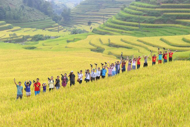 ''Mùa vàng'' đến sớm ở Hoàng Su Phì