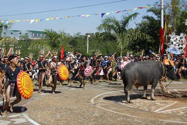 Lễ hội đâm trâu