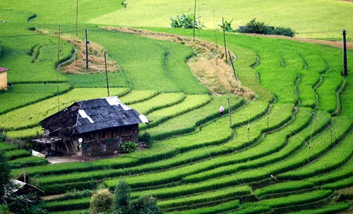 Vẻ yên tính và yên bình 