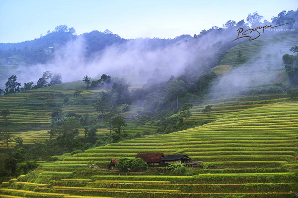 Những thửa ruộng bậc thang vừa gần vừa xa, thấp thoáng ẩn hiện trong làn sương mờ từ lâu đã trở thành niềm tự hào của người dân tộc thiểu số ở vùng đất này