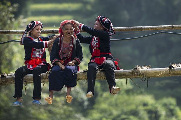 Không phải lúc nào bạn cũng bắt gặp được những hình ảnh đời thường tuyệt đẹp như vậy